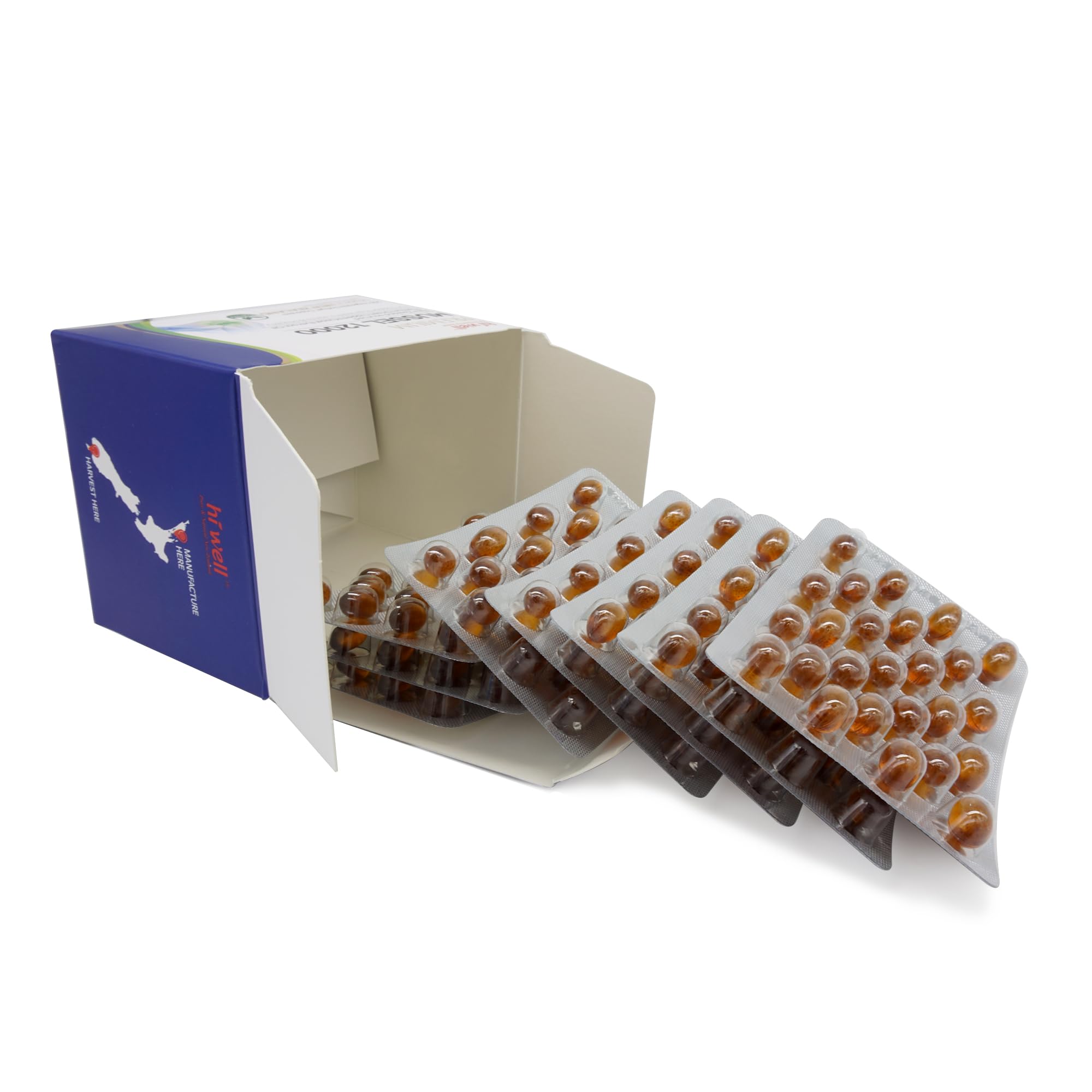 Contenu de 200 gélules Hi Well, valeur durable pour votre programme quotidien.