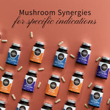 Arrière-plan évoquant la naturalité des champignons médicinaux.