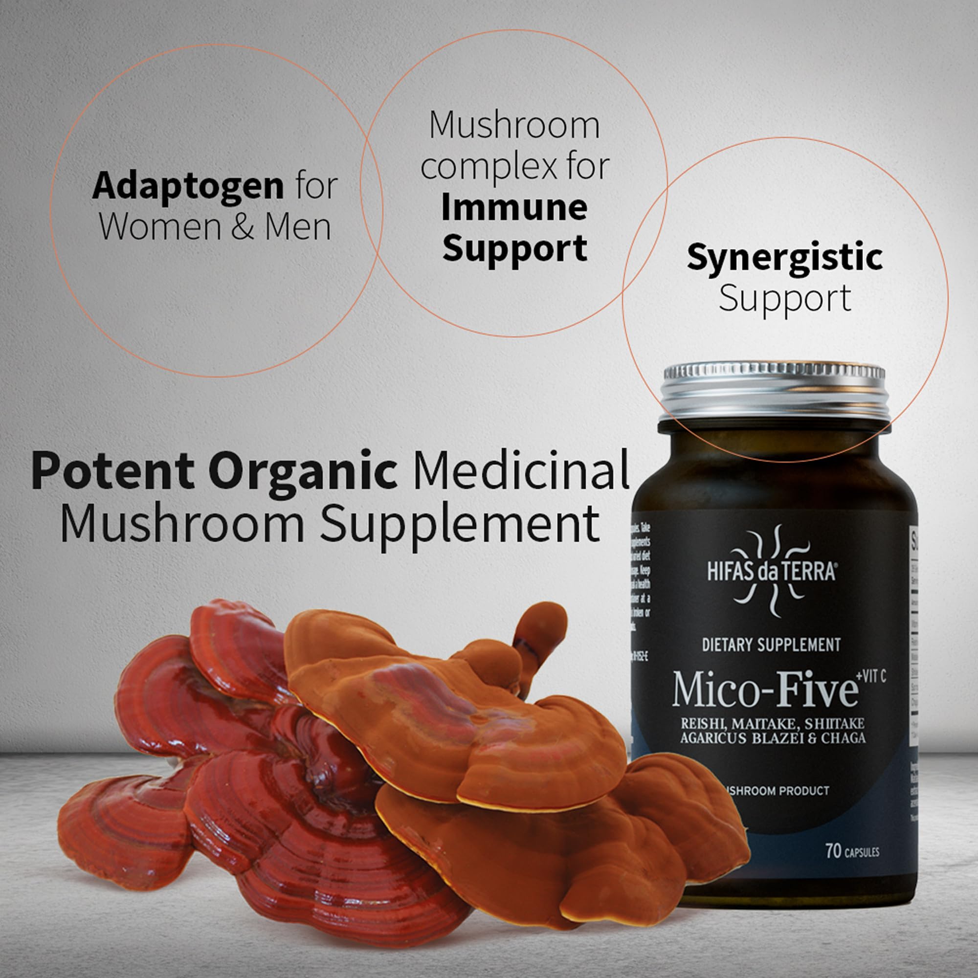 Mico-Five: mélange d Extraits Reishi Shiitake Chaga dans les ingrédients