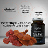 Mico-Five: mélange d Extraits Reishi Shiitake Chaga dans les ingrédients
