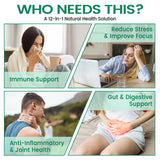 HIIHONE: Moringa, feuille nutritive pour soutenir l'énergie.