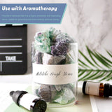 Usages Reiki avec fluorite Hilitchi pour pratiques spirituelles