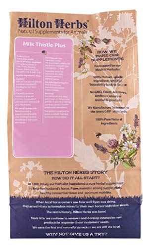 Gélules Chardon-Marie Plus par Hilton Herbs prêtes à l'emploi pour une routine facile.