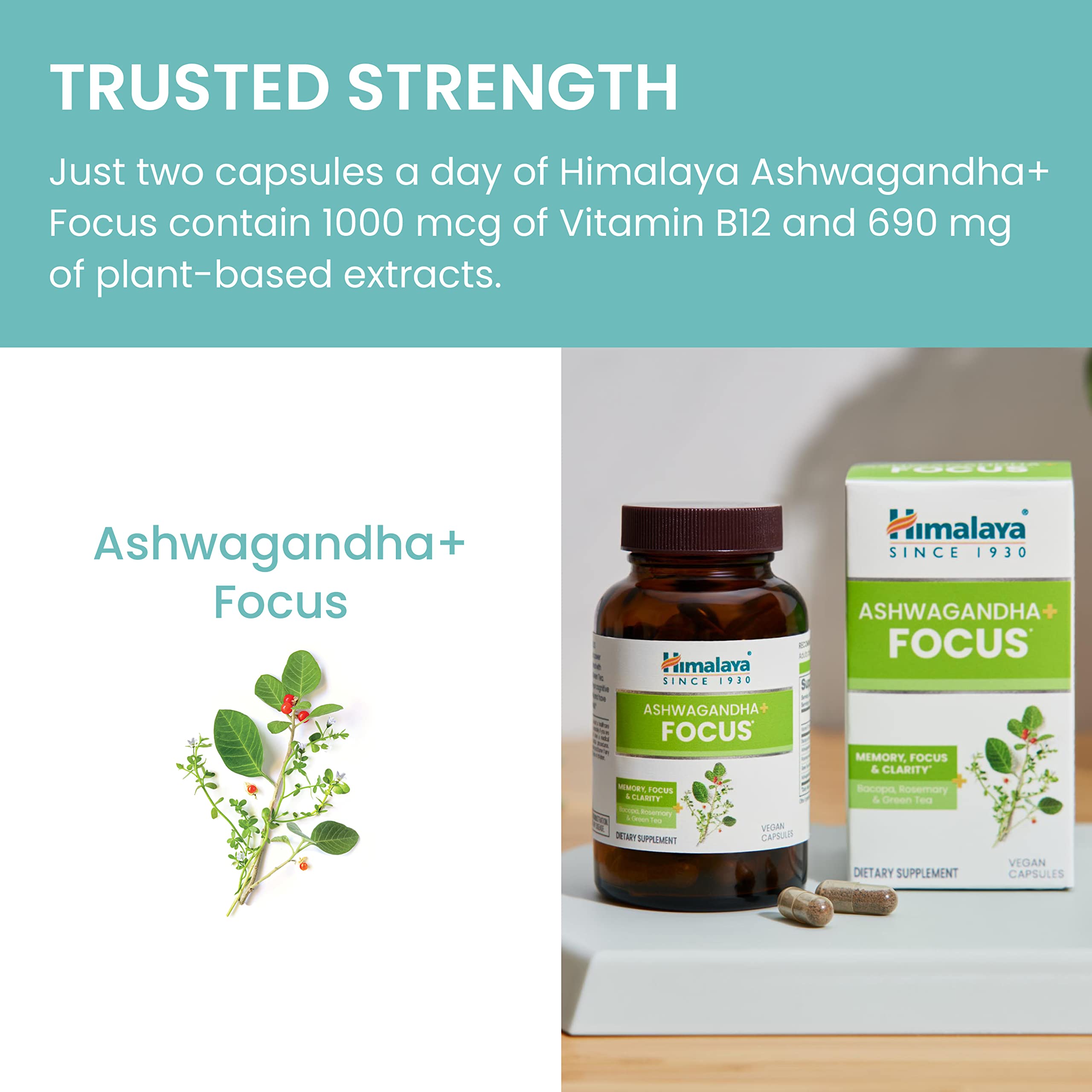 Himalaya Ashwagandha Focus : formulation ayurvédique inspirée, extrait racine ciblé et équilibre potentiel.