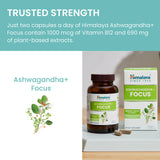 Himalaya Ashwagandha Focus : formulation ayurvédique inspirée, extrait racine ciblé et équilibre potentiel.