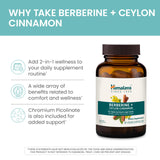 Extrait racine d’épine-vinette dans Himalaya Berberine — composants naturels