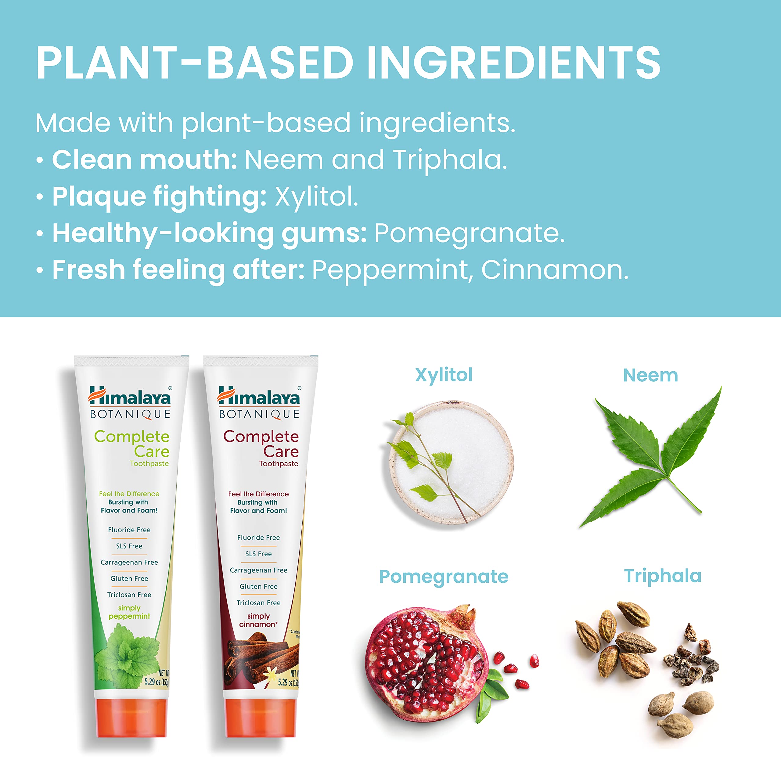 Utilisation quotidienne du dentifrice Himalaya Botanique pour une routine sûre.