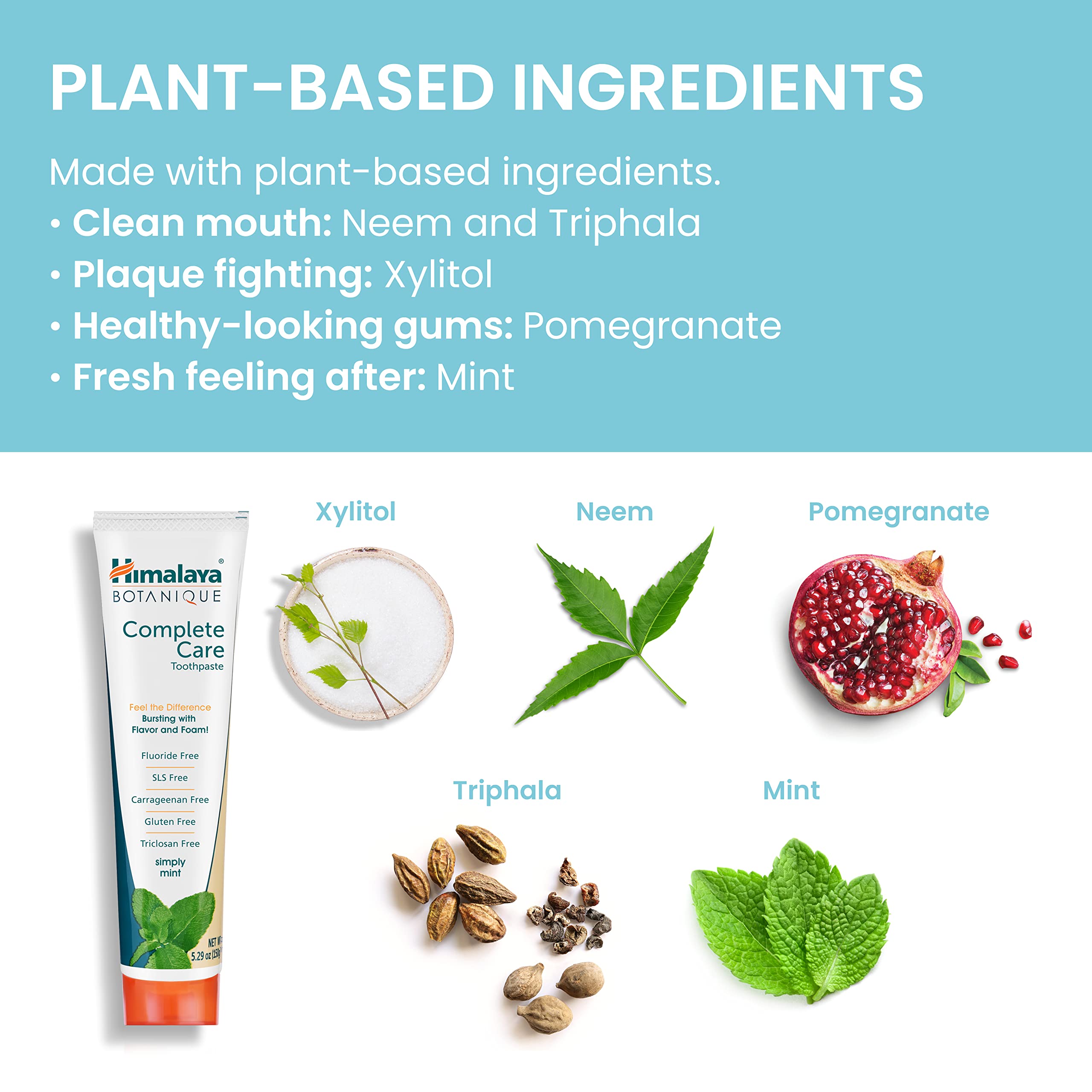 Himalaya Botanique - routine quotidienne: brosse quotidienne facile et efficace.