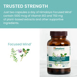 Himalaya Focused Mind: étiquette transparente et design du produit.