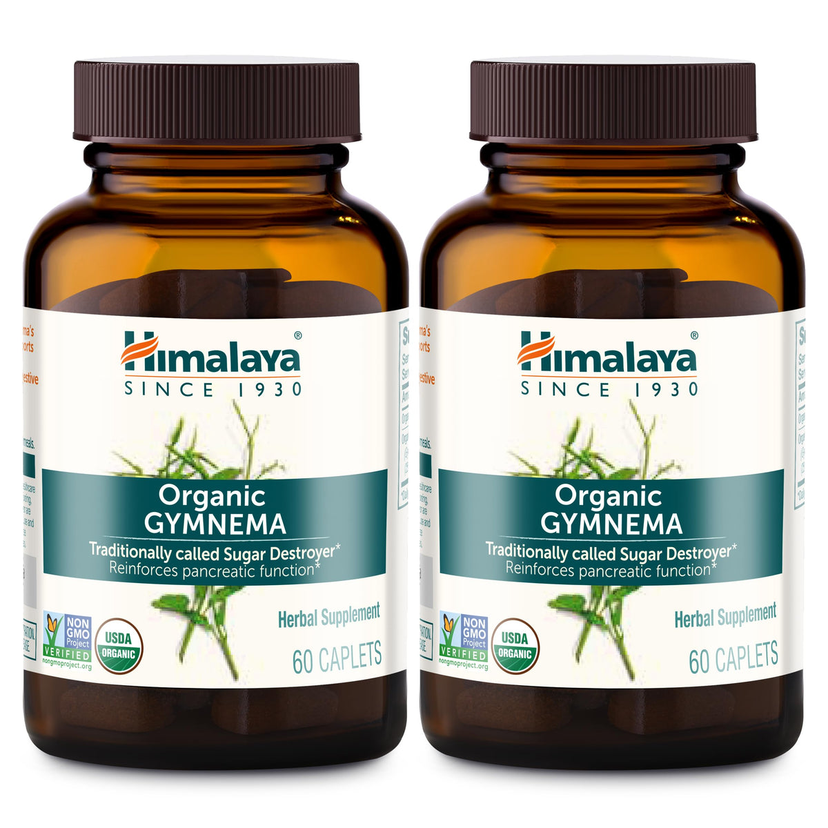 Himalaya Gymnema Sylvestre – bouteille de caplets, soutien potentiel à l'équilibre glycémique.