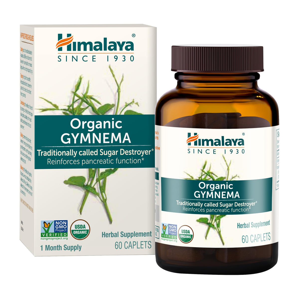 Gymnema Himalaya Sylvestre dans la bouteille, soutien potentiel du métabolisme des glucides.
