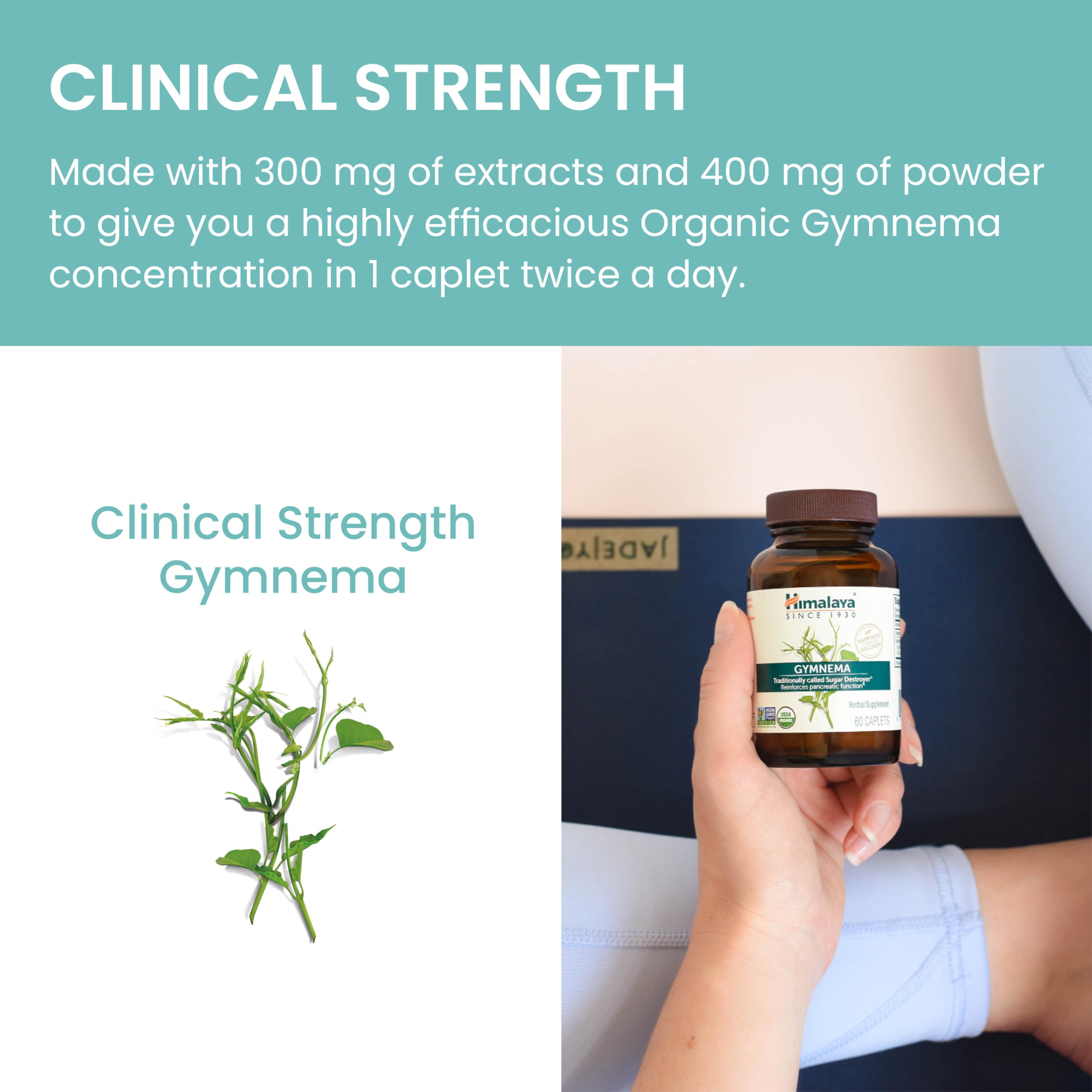 Produit Himalaya Gymnema Sylvestre sans additifs, sans gluten et végan.