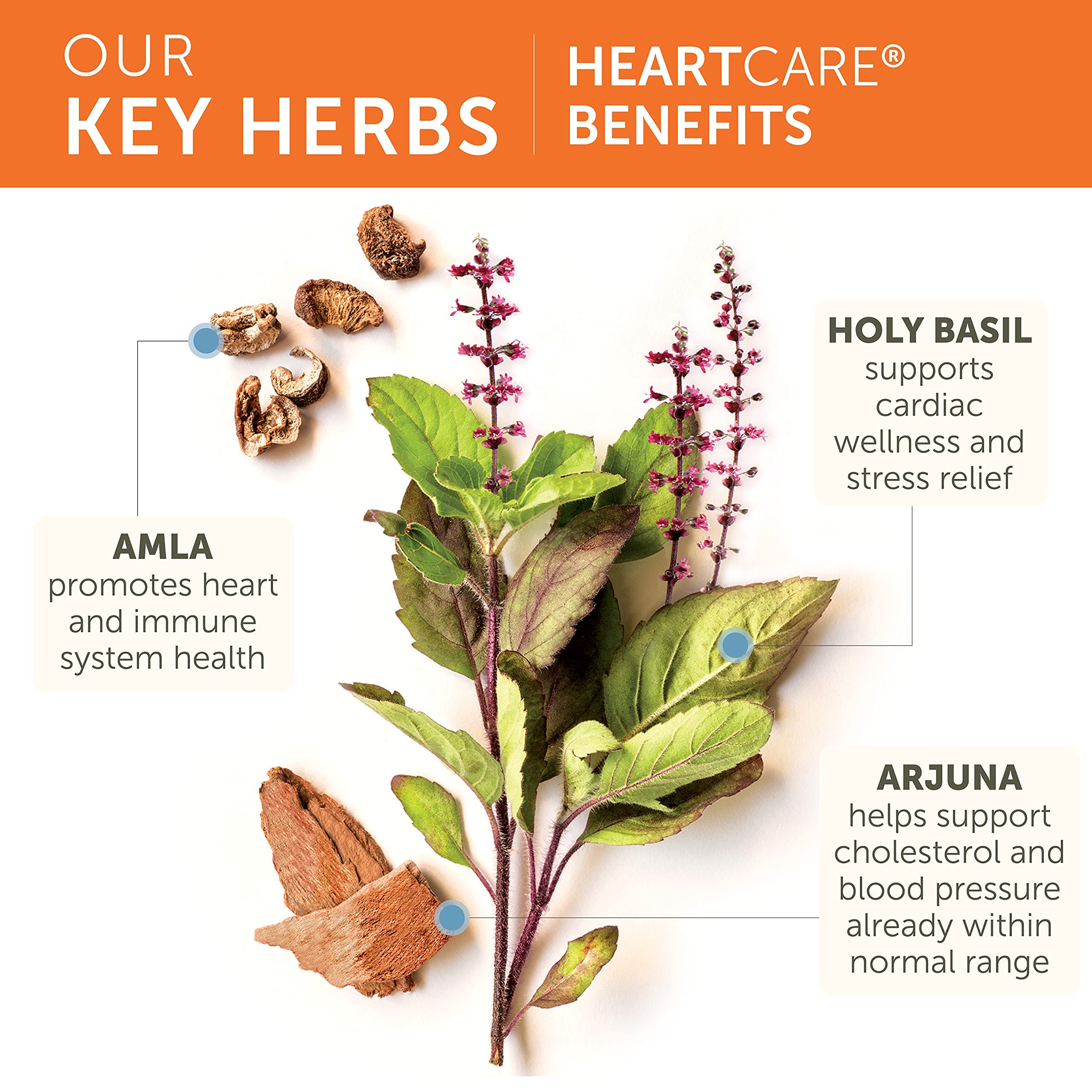 Himalaya HeartCare: emballage boîte carton, présentation claire et écologique.