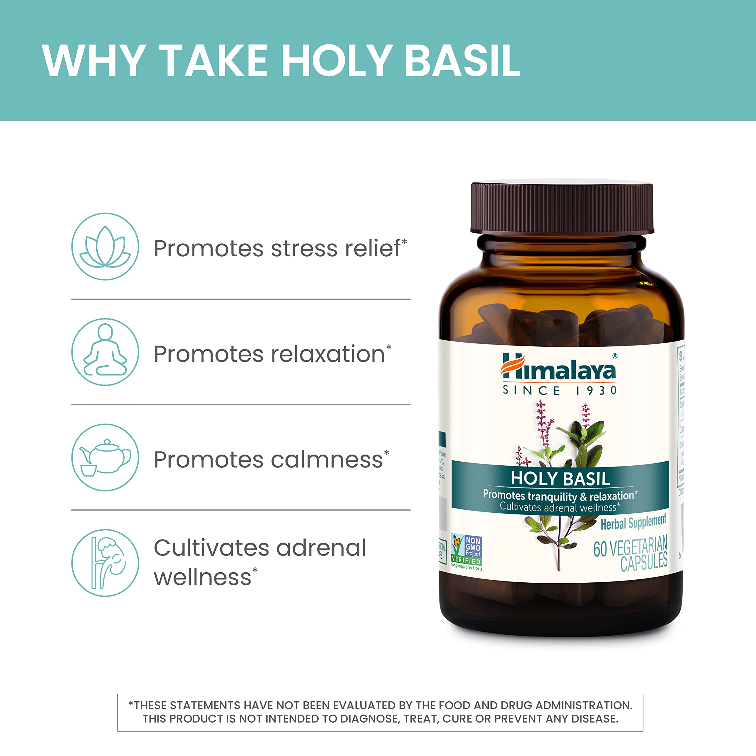 Étiquette Himalaya Holy Basil indiquant sans gluten et sans OGM.