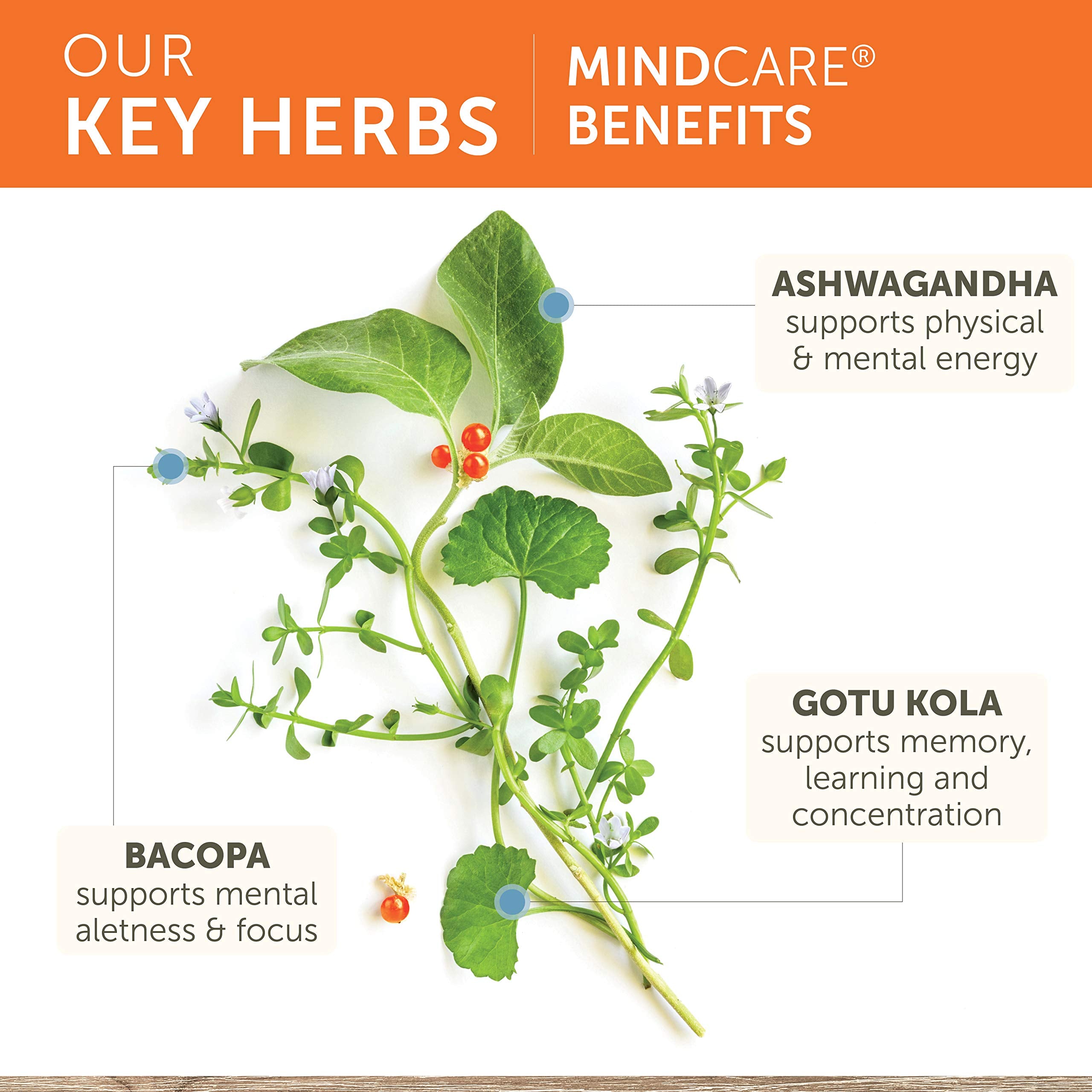 MindCare sans lactose, sans gluten et sans OGM, emballage clair.