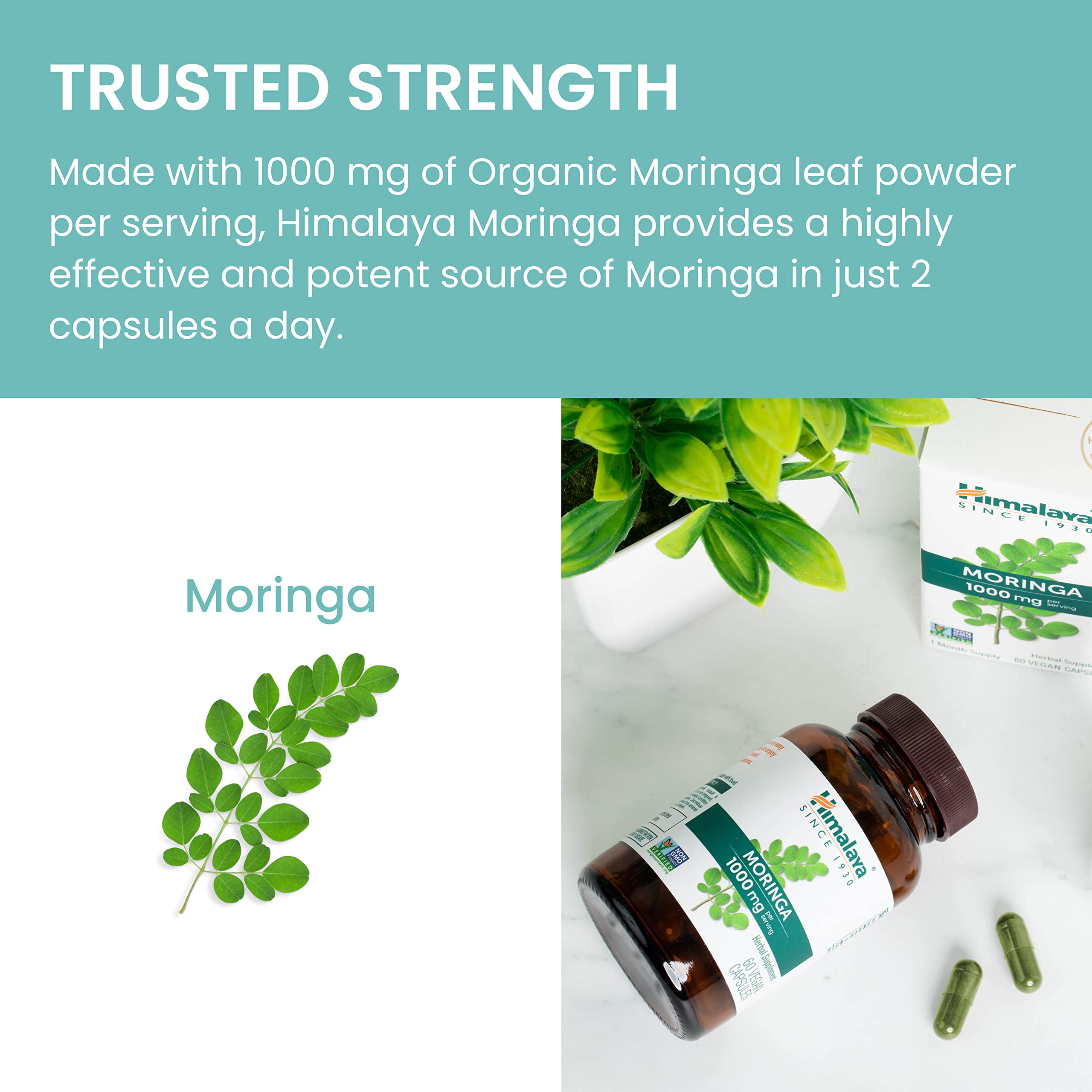 Himalaya Moringa – emballage en verre protégeant les capsules