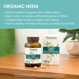 Neem-feuille extrait, capsule, concentration botanique potentielle.