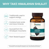 Himalaya Shilajit – capsules présentées dans le pot, usage pratique.