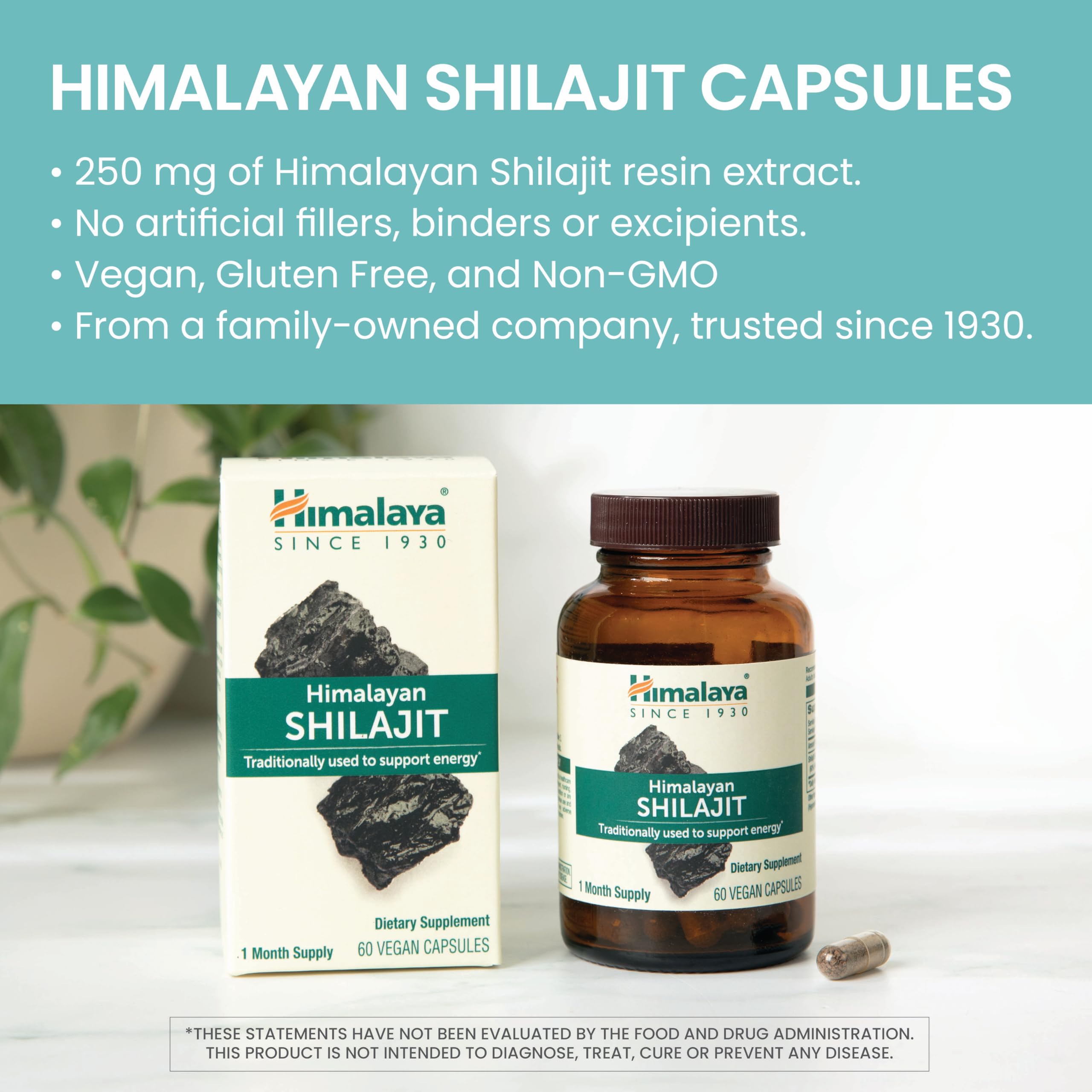 Himalaya Shilajit – résine brune, texture riche et purifiée.