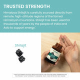 Himalaya Shilajit – tableau des minéraux, valeur nutritionnelle possible.