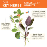 Himalaya StressCare – Capsules, faciles à intégrer dans la routine, soutien subtil à l'énergie.