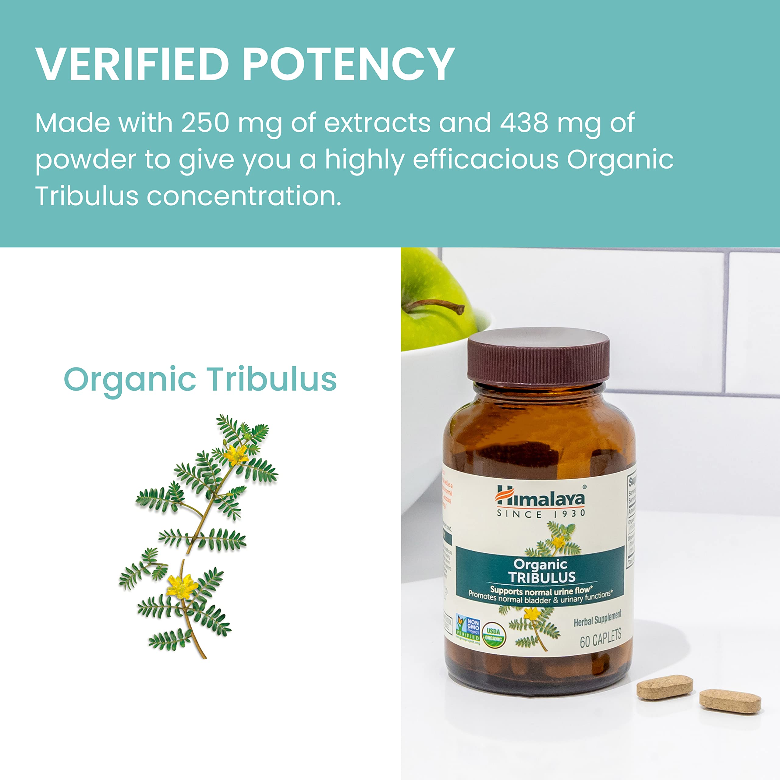 Himalaya Tribulus Terrestris: bouteille ouverte expose le bouchon et l'accès facile