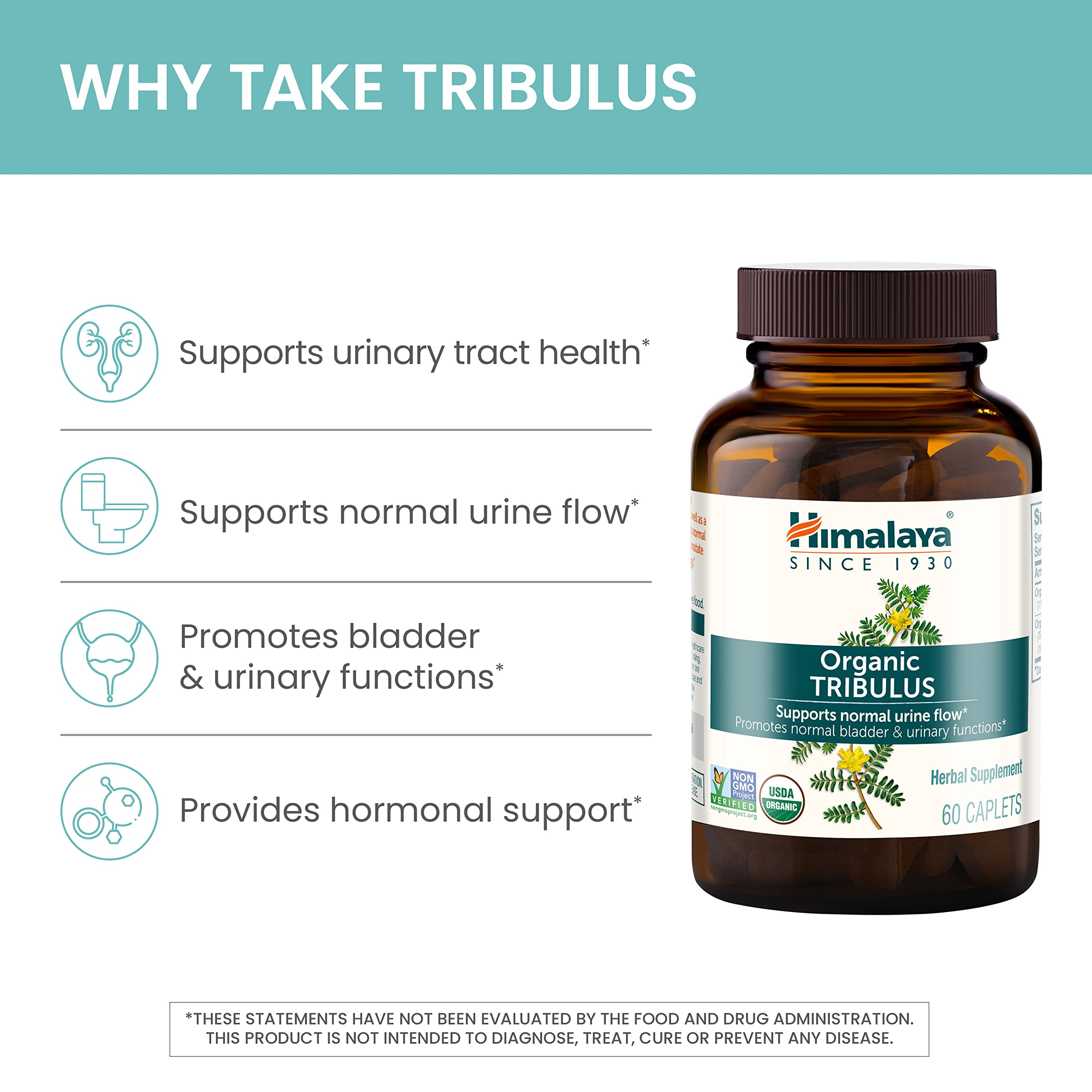 Himalaya Tribulus Terrestris: utilisation quotidienne pratique, capsule facile à avaler