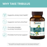 Himalaya Tribulus Terrestris: utilisation quotidienne pratique, capsule facile à avaler