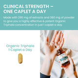 Qualité végan sans gluten et sans OGM dans Triphala.