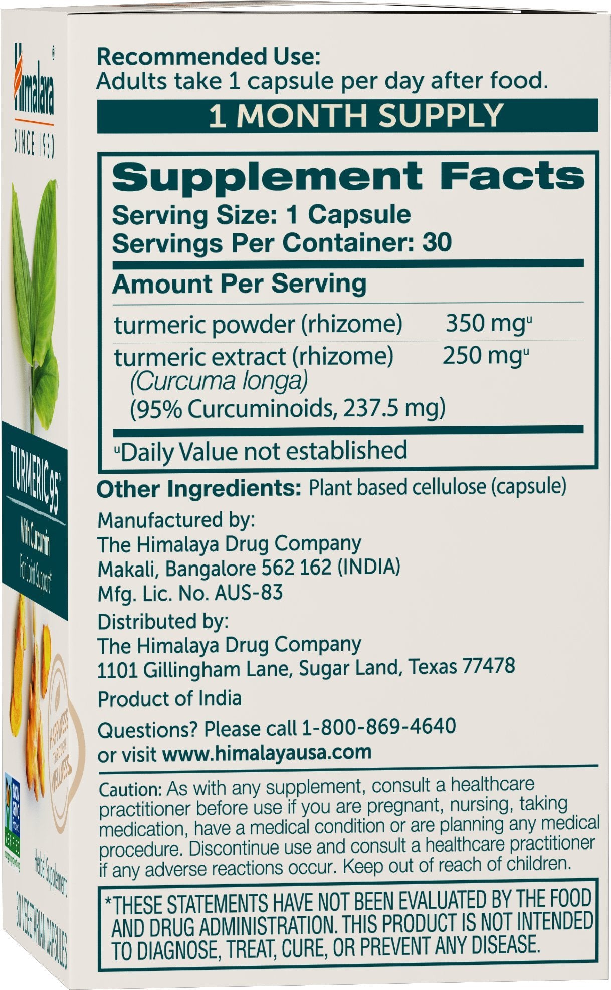 Himalaya Turmeric 95 – articulations et mobilité, capsules faciles à prendre.