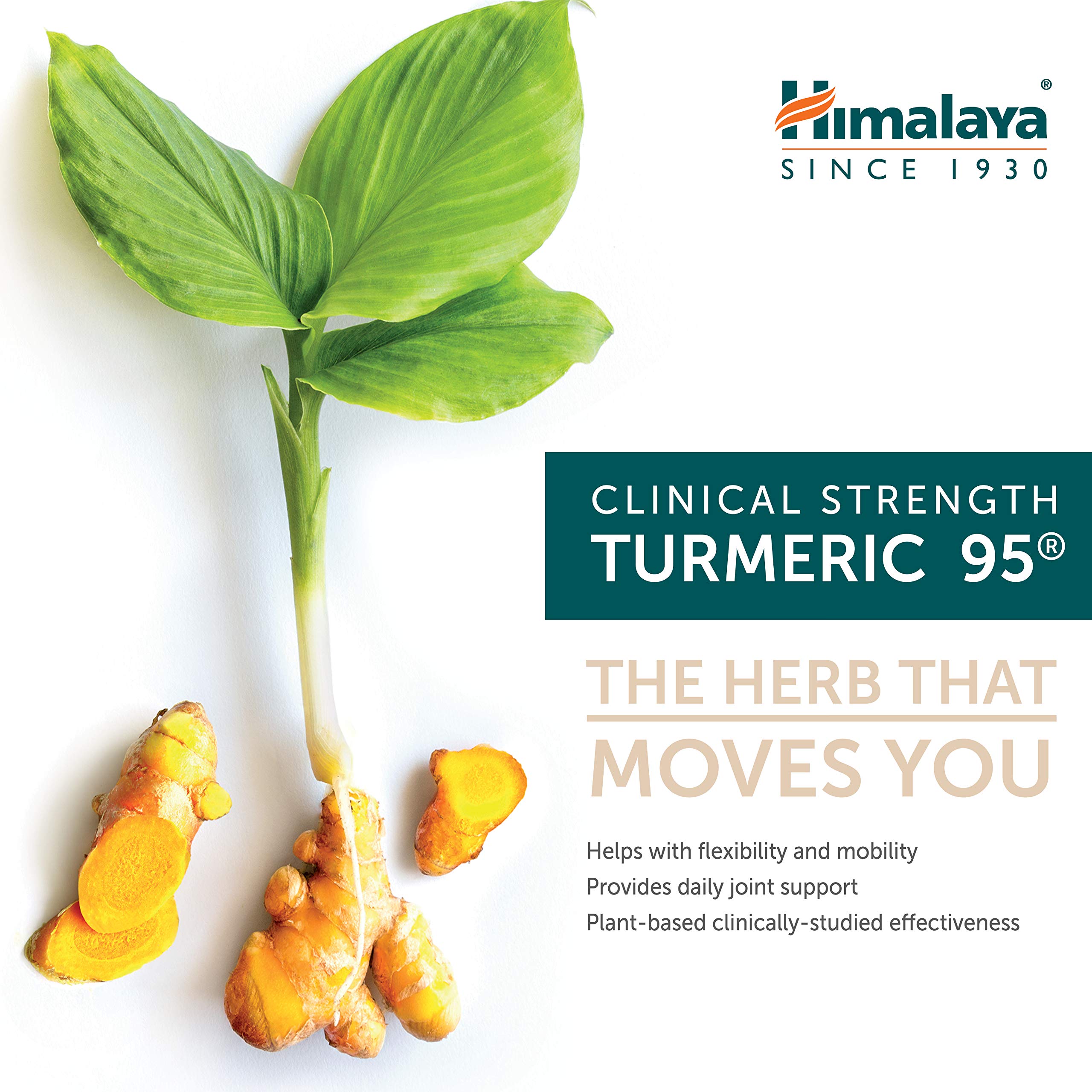 Himalaya Turmeric 95 – inflammation liée à l'effort et récupération potentielle.
