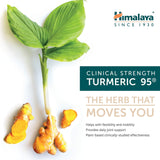 Himalaya Turmeric 95 – inflammation liée à l'effort et récupération potentielle.