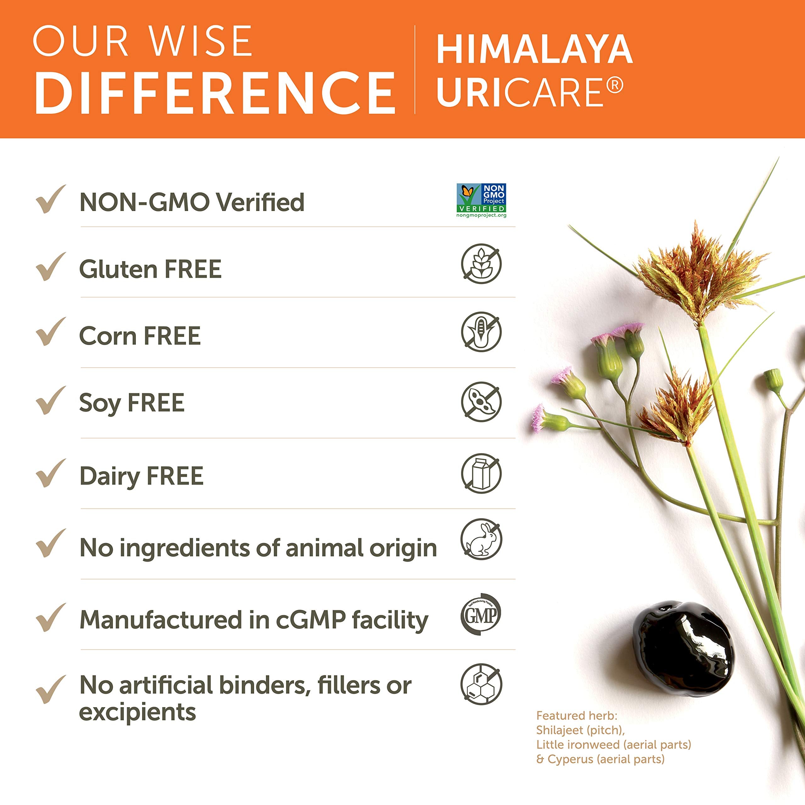 Himalaya UriCare — utilisation quotidienne pratique et sans caféine.