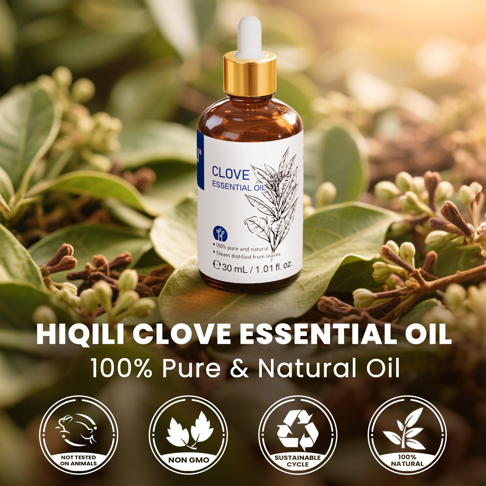 HIQILI huile girofle aromathérapie, diffuseur prêt à l'emploi pour une ambiance apaisante.