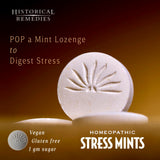Stress Mints goût menthe frais, idéal pour la digestion légère.