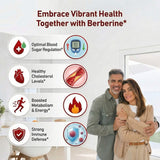 HiWell Berberine Extraits 10:1 en bouteille, densité élevée de phytonutriments