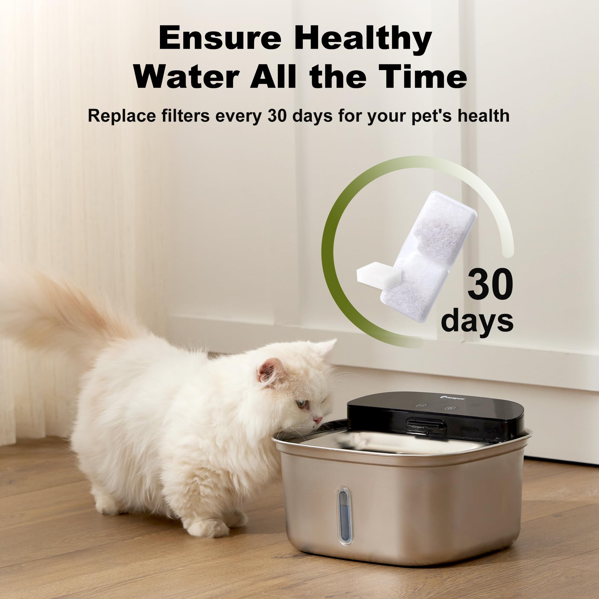 Installation simple des filtres HOLAPAW pour fontaine chat, efficacité et propreté