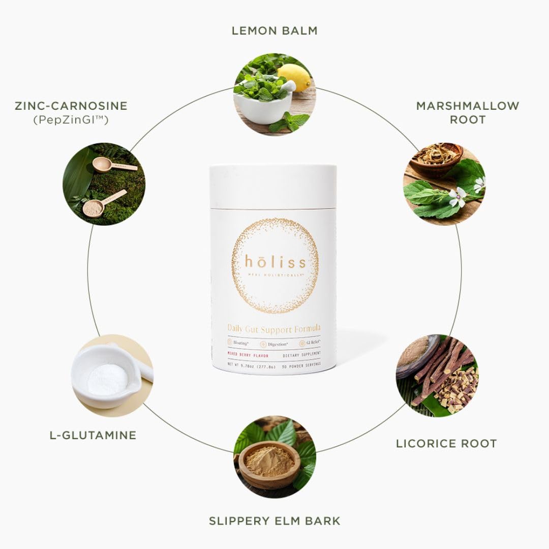 HOLISS Poudre Santé Digestive – mélisse citronnée, arôme apaisant.