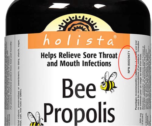 Holista Propolis 500mg – utilisation quotidienne potentielle dans le cadre du bien-être.