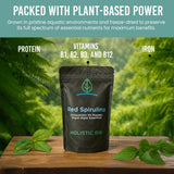 Holistic Bin Poudre Astaxanthine : boisson matinale riche en antioxydants.