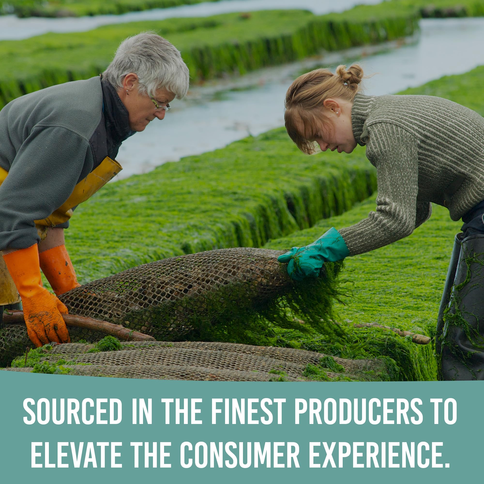 Holistic Bin Poudre Spiruline Bleue d’origine américaine, cultivée avec soin.