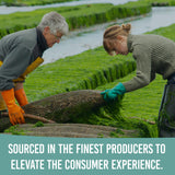Holistic Bin Poudre Spiruline Bleue d’origine américaine, cultivée avec soin.