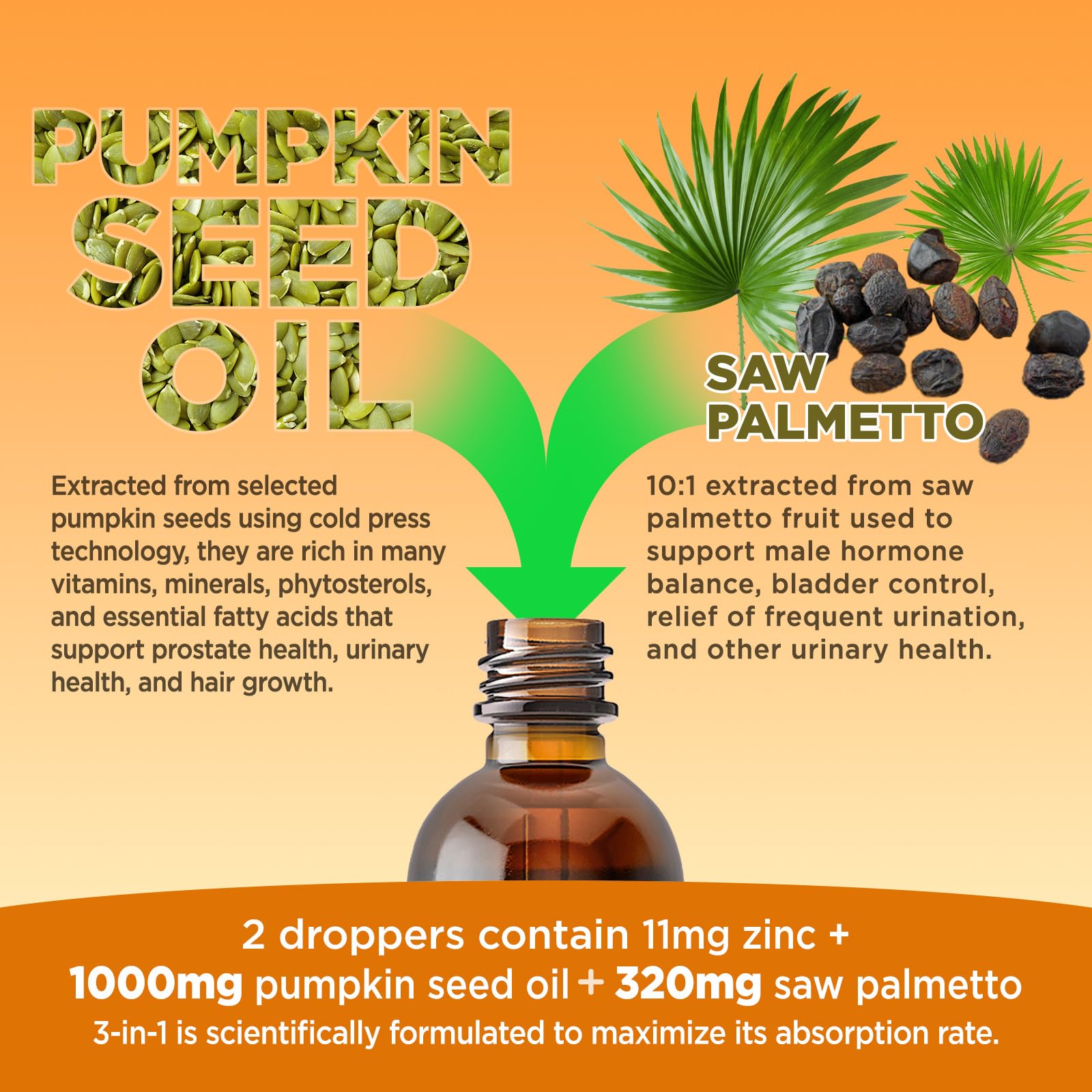 Extrait palmier nain Hollegend en flacon: soutien naturel à la prostate.