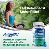 HOLLEGEND Potassium Magnésium – dosage adapté pour adultes