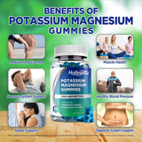 HOLLEGEND Potassium Magnésium – emballage ouvert, accès rapide aux gommes