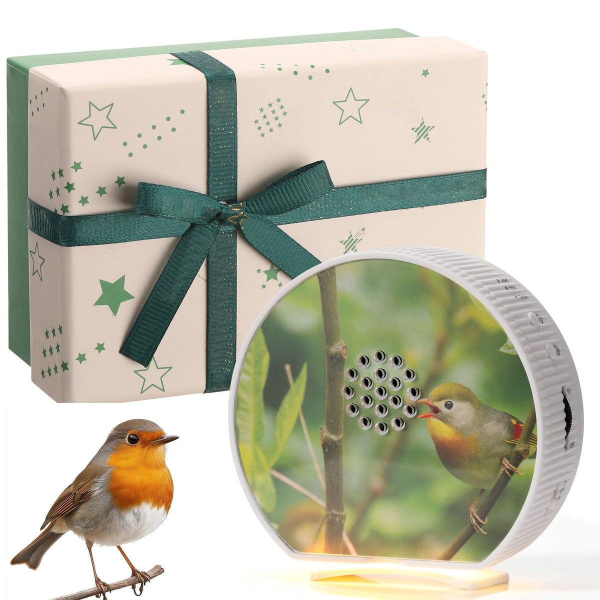 Hollowfly boite chantante d'oiseaux pour une ambiance apaisante