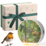 Hollowfly boite chantante d'oiseaux pour une ambiance apaisante