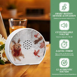 Hollowfly 12 cartes paysages interchangeables pour varier l'ambiance