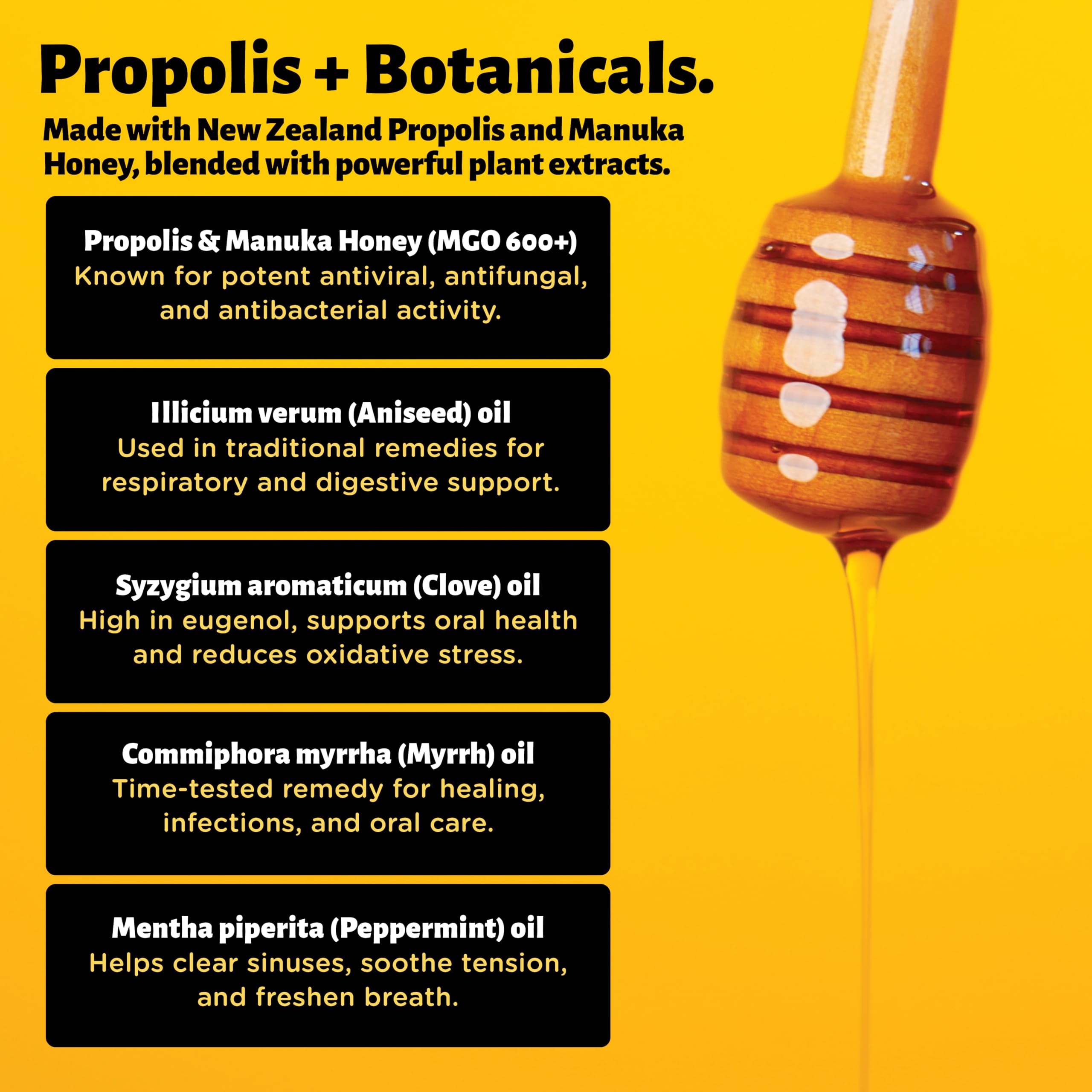 Holy Cow Health Propolis Manuka Spray avec arôme menthe rafraîchissant.