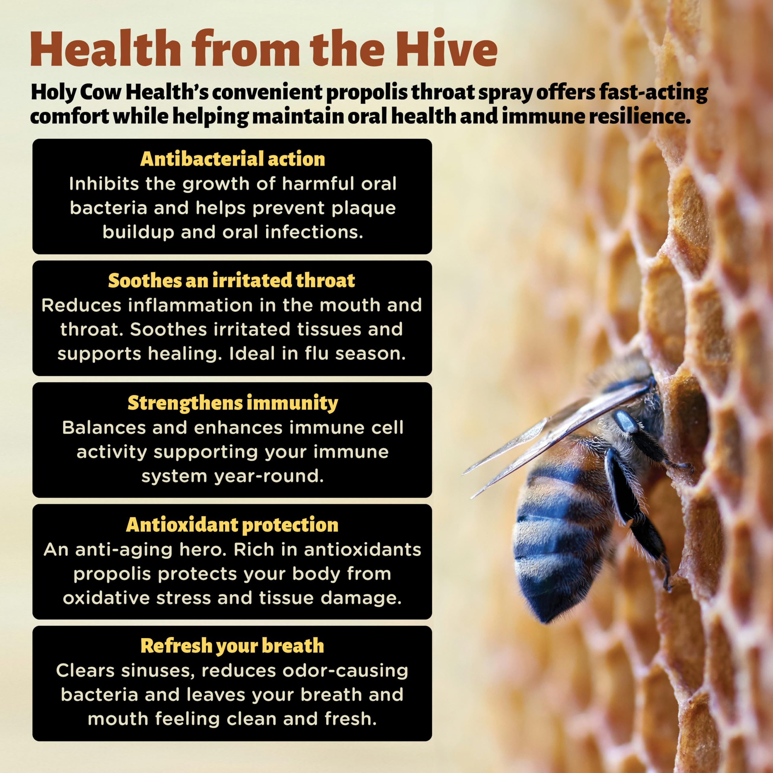 Holy Cow Health Propolis Manuka Spray, embout pulvérisateur précis pour l’application.